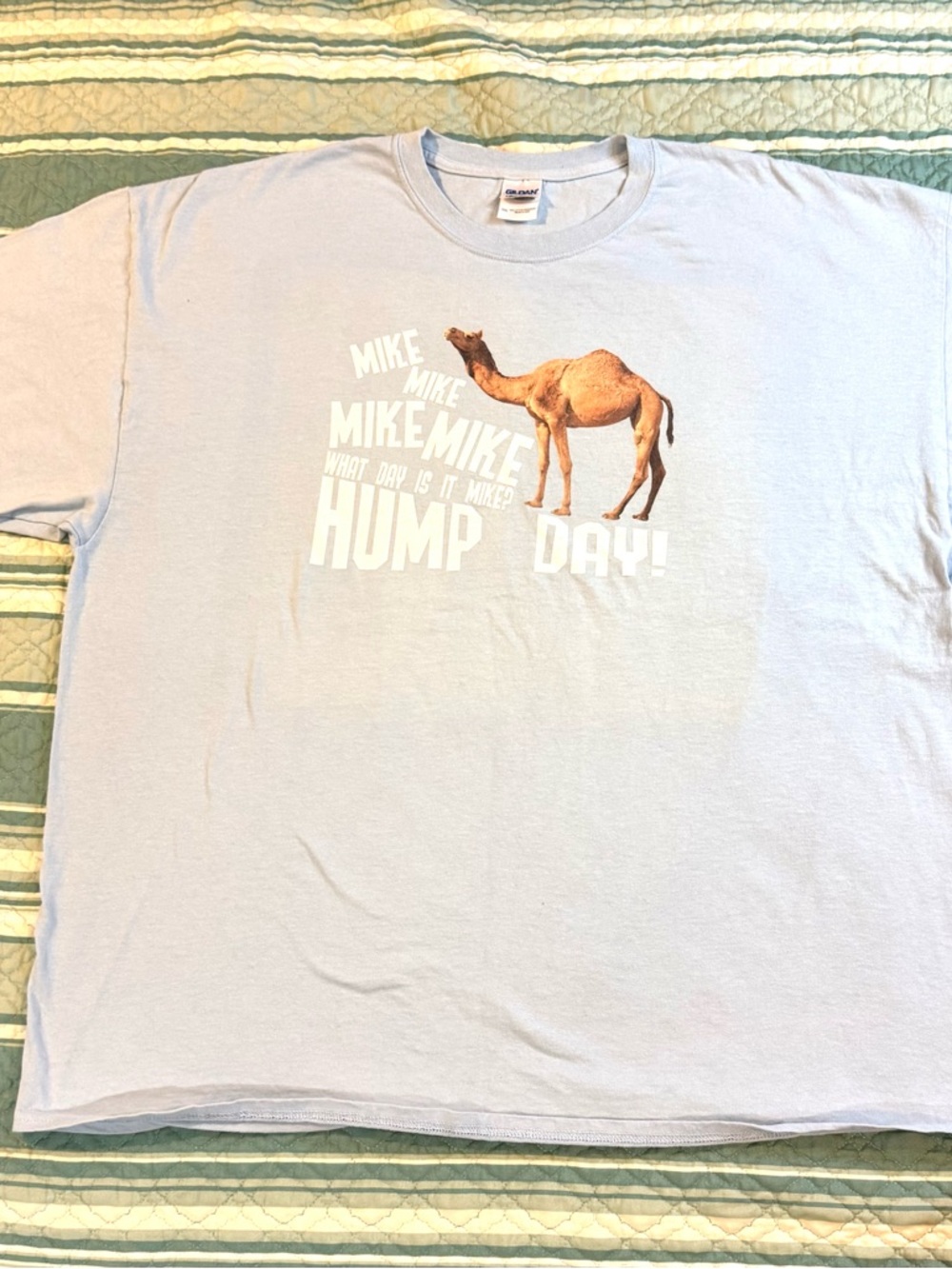 Hump Day Camel 'Guess What Day It Is' Geico Commercial Parody T-Shirt Size 3XL